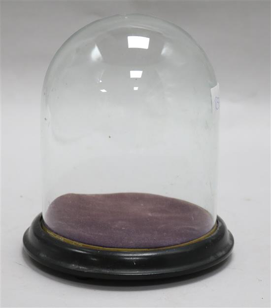Small glass dome and stand H.18cms